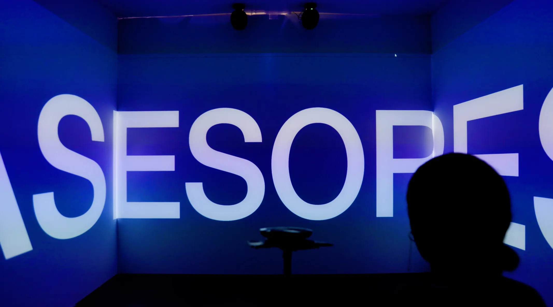 Voice AI Retail Experience